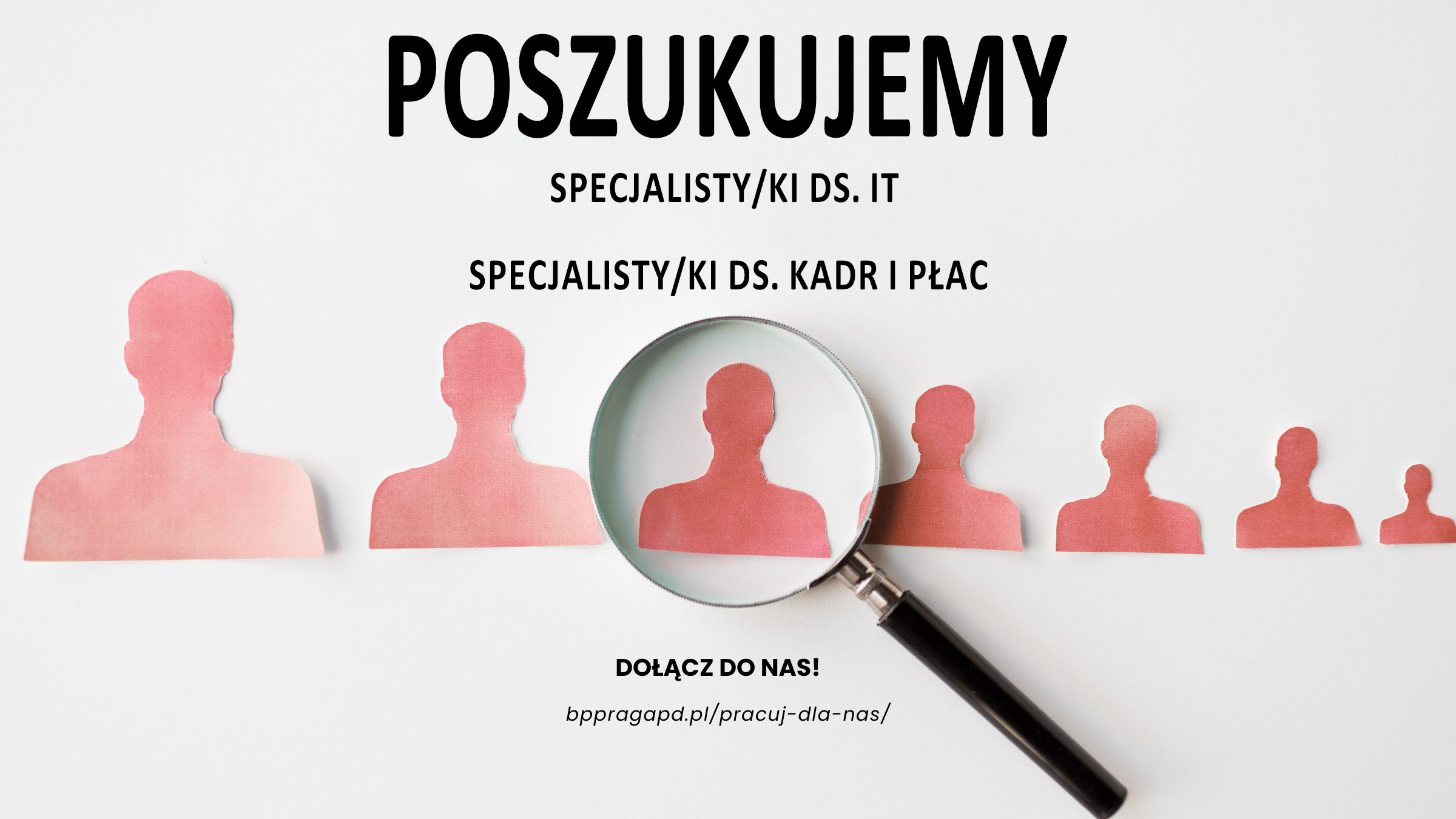 Nabór na stanowiska Specjalisty ds. IT oraz Specjalisty ds. kadrowo - płacowych